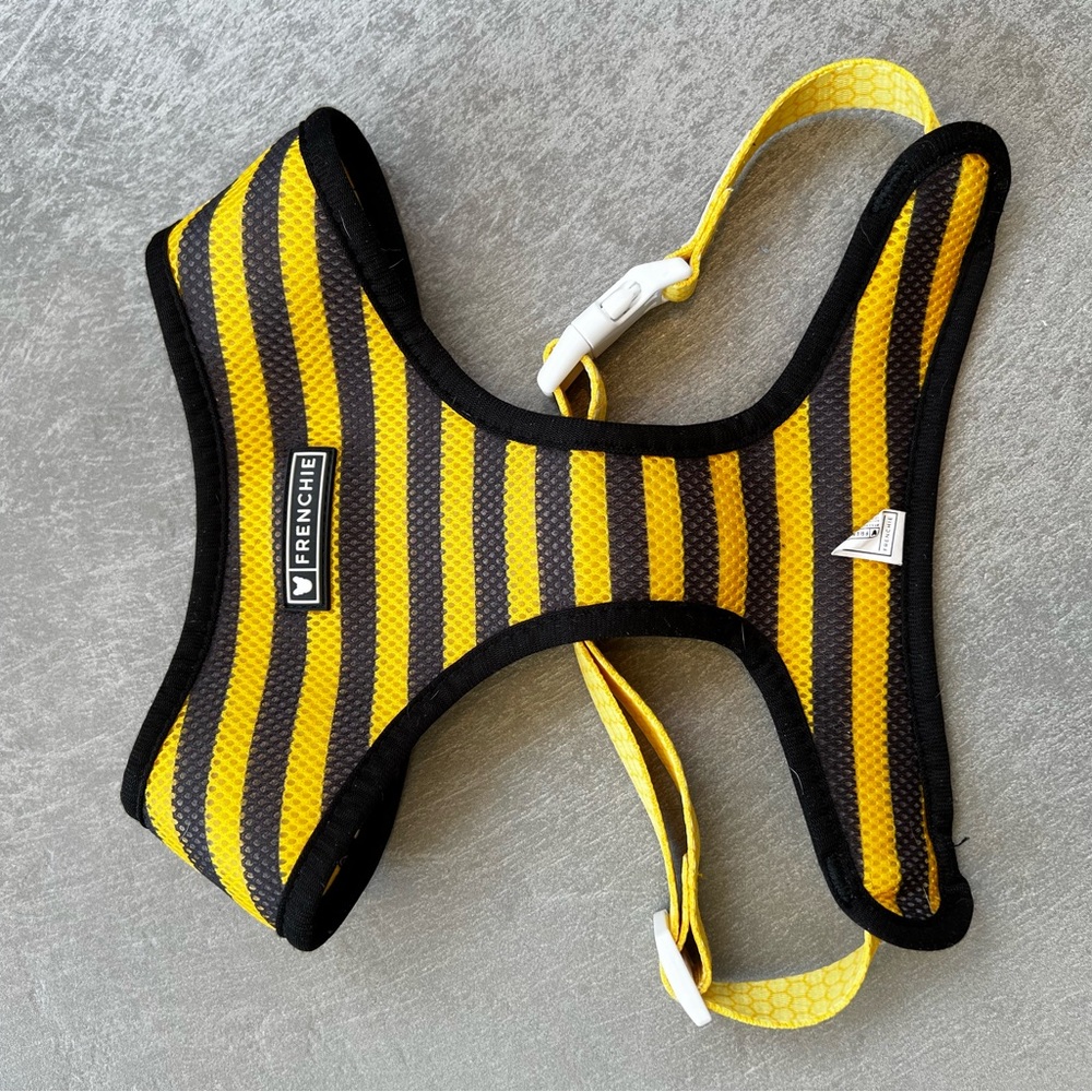 Reversible, breathable harness